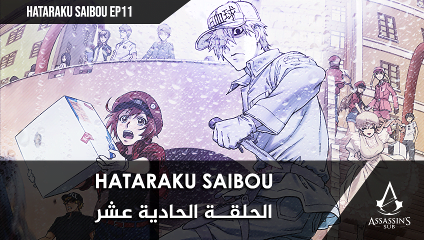 Hataraku Saibou | الحلقة الحادية عشر