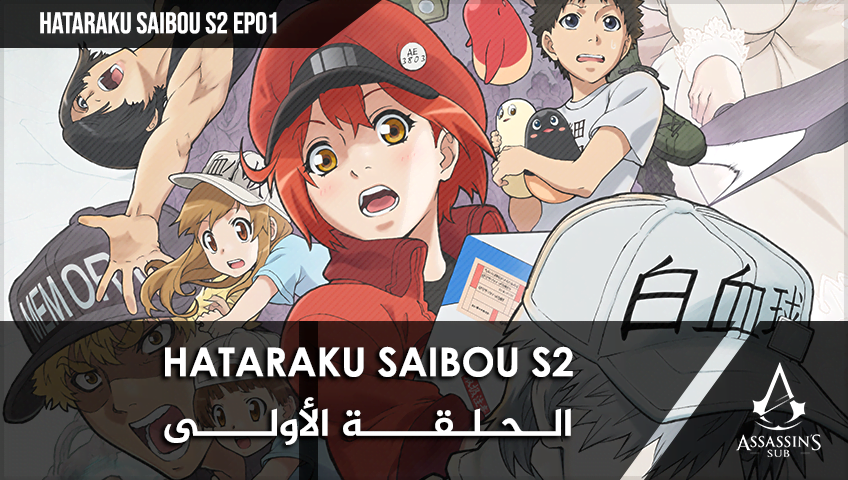 Hataraku Saibou S2 | الحلقة الأولى
