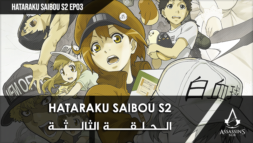 Hataraku Saibou S2 | الحلقة الثالثة